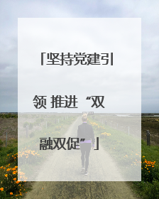 坚持党建引领 推进“双融双促”